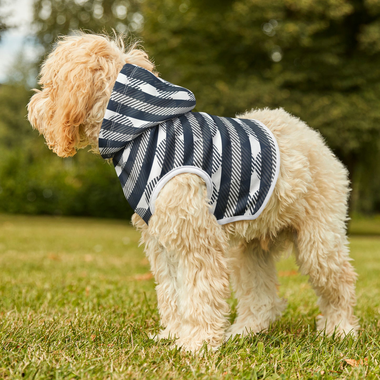 Eclipse Dog Hoodie | Small Breeds