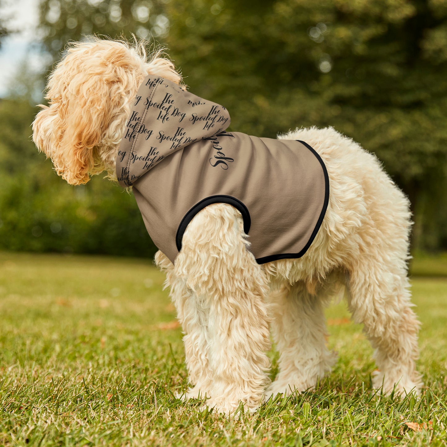 The Spoiled Dog Hoodie | Small Breeds