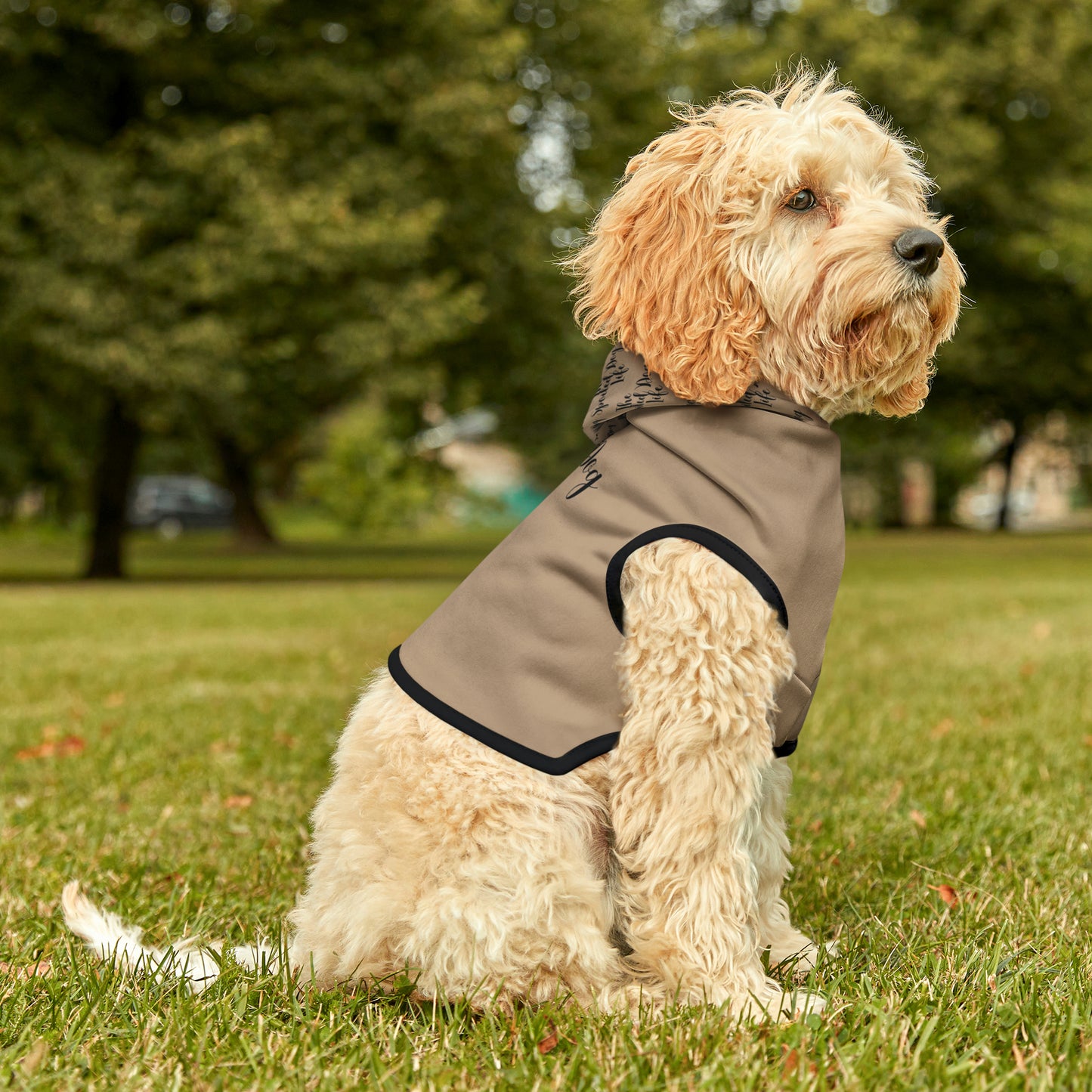 The Spoiled Dog Hoodie | Small Breeds