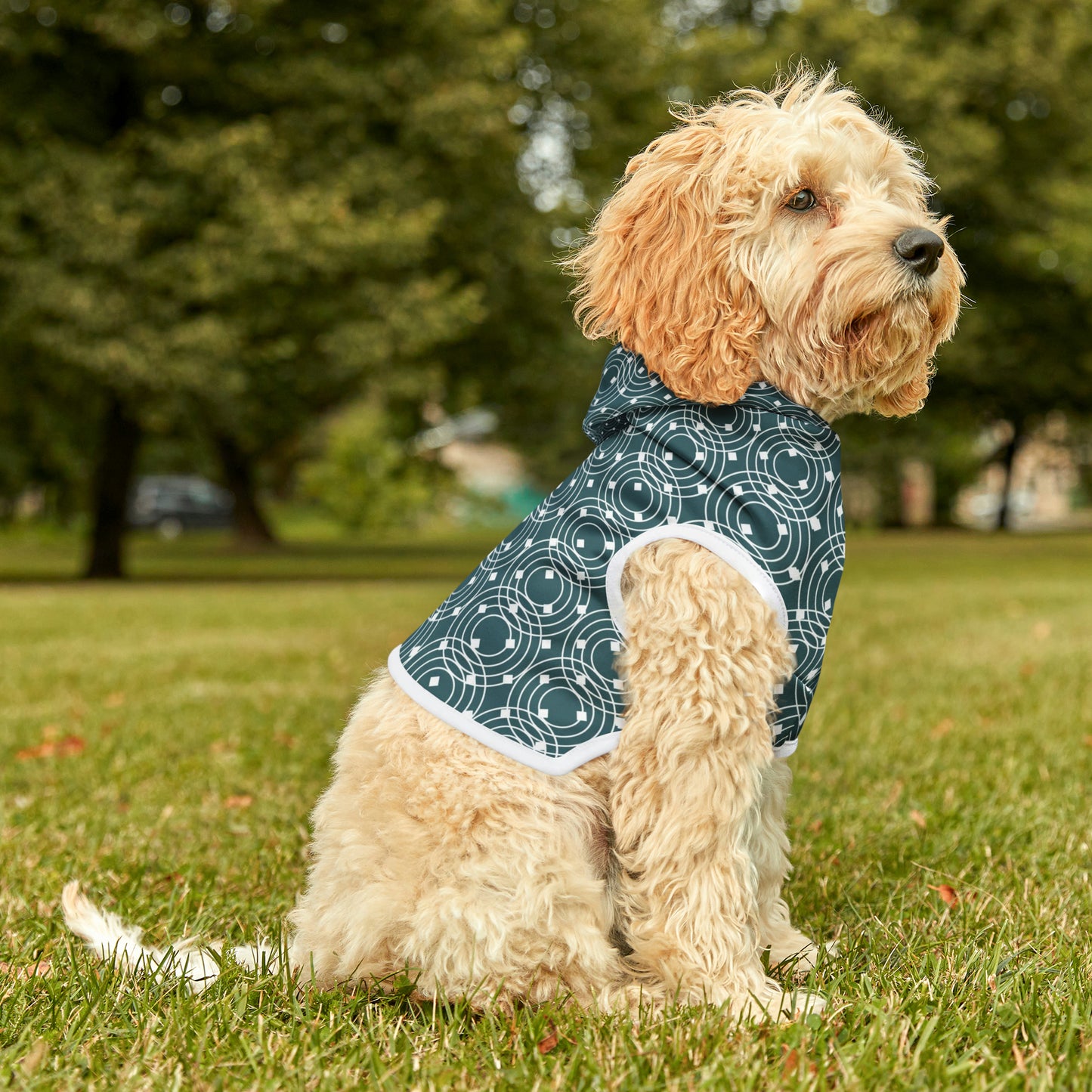 Orbit Dog Hoodie | Small Breeds