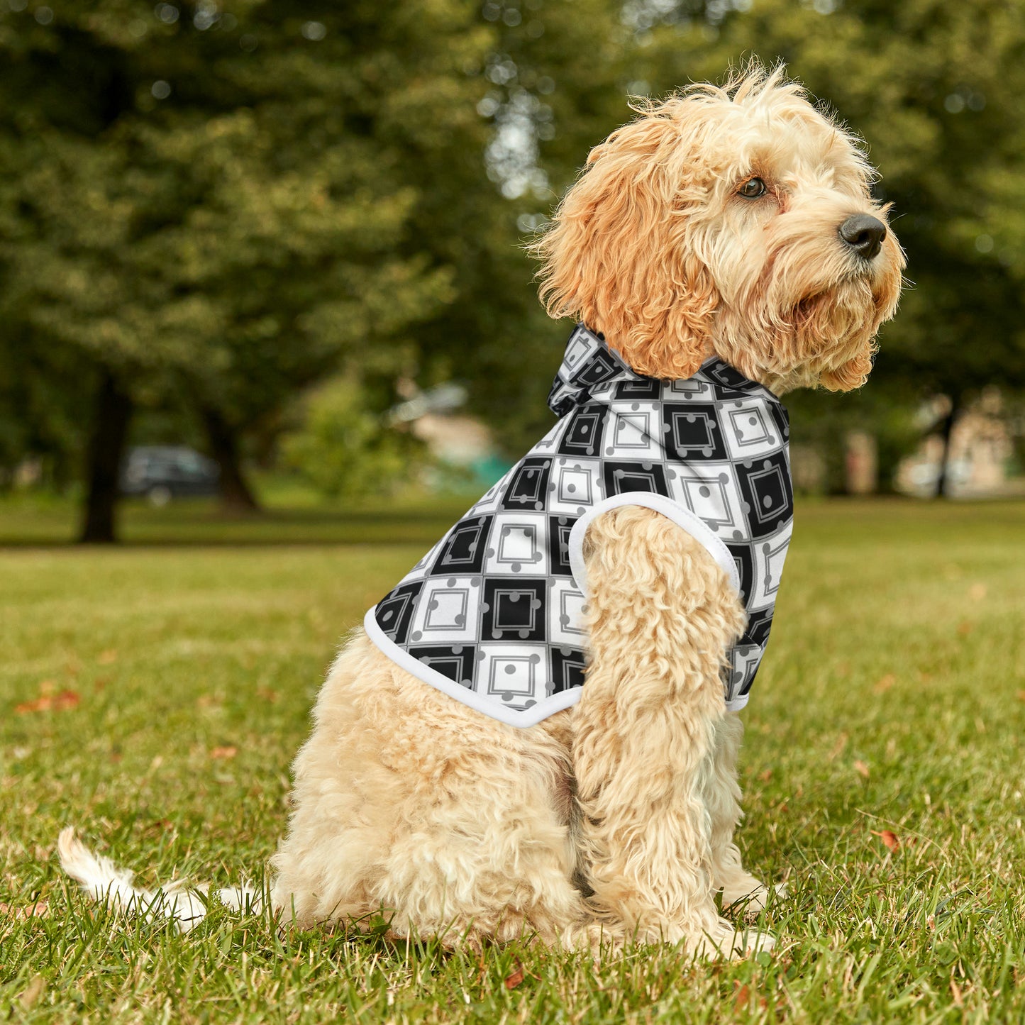 The Birthday Dog Hoodie '25 | Small Breeds