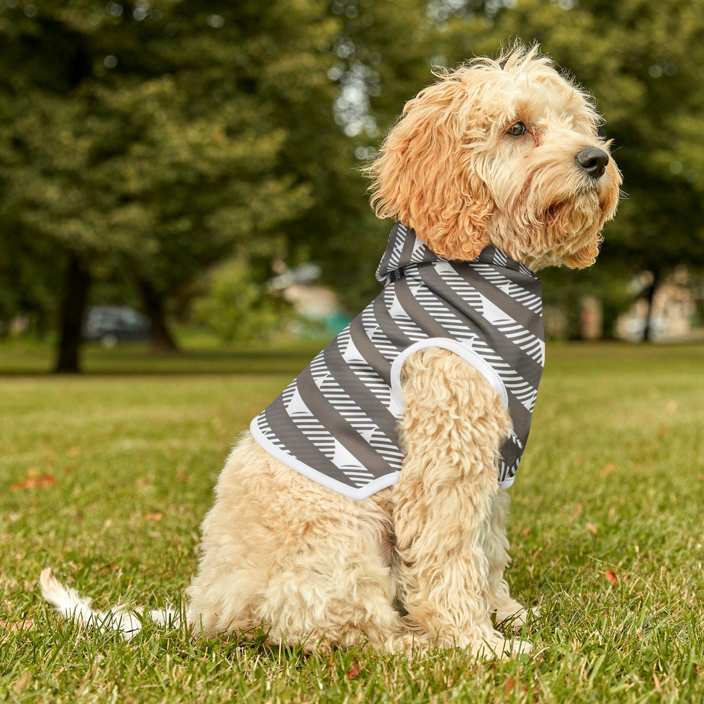 Eclipse Dog Hoodie | Small Breeds