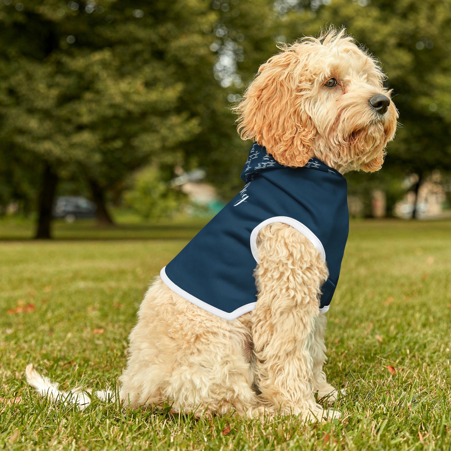 The Spoiled Dog Hoodie | Small Breeds