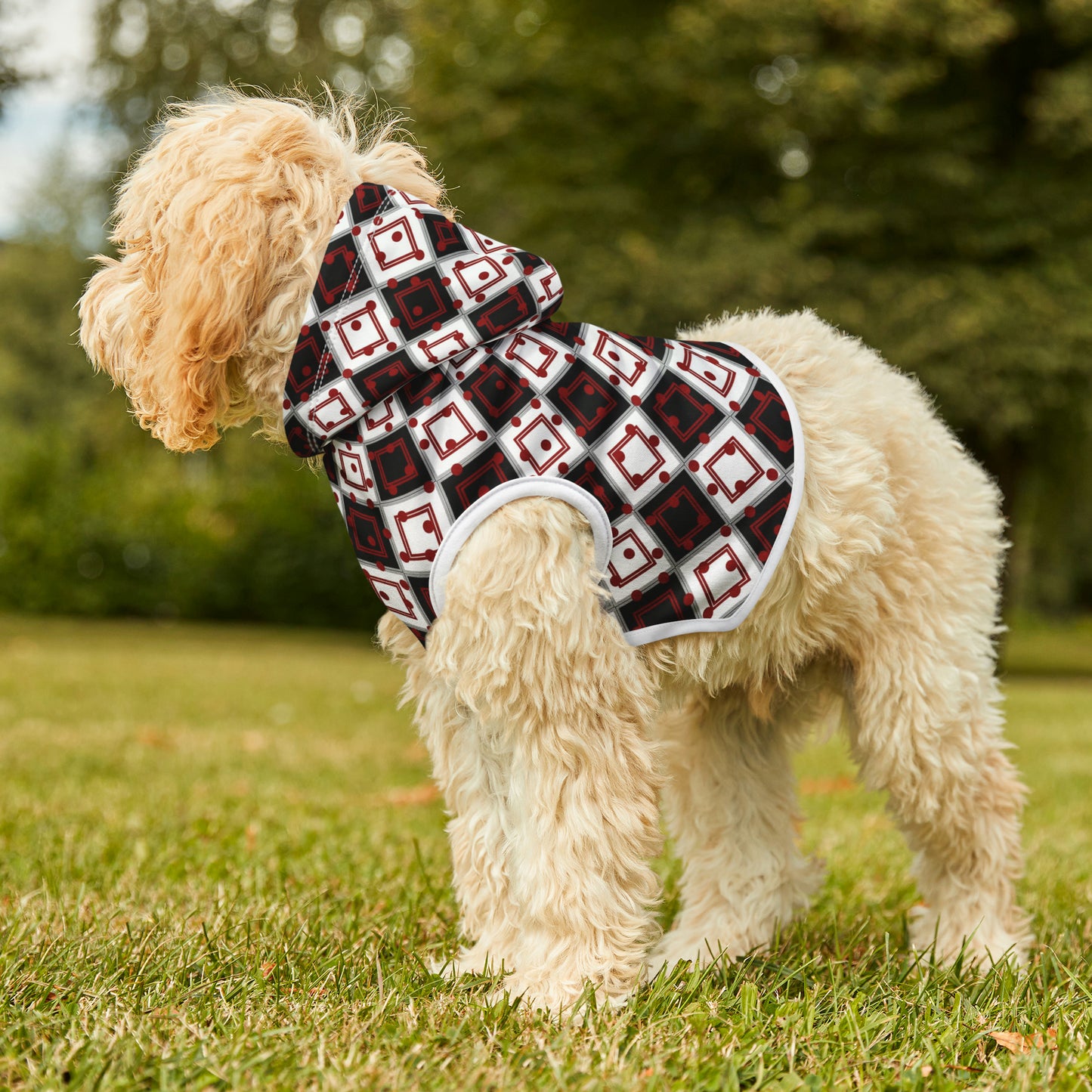 The Birthday Dog Hoodie '25 | Small Breeds