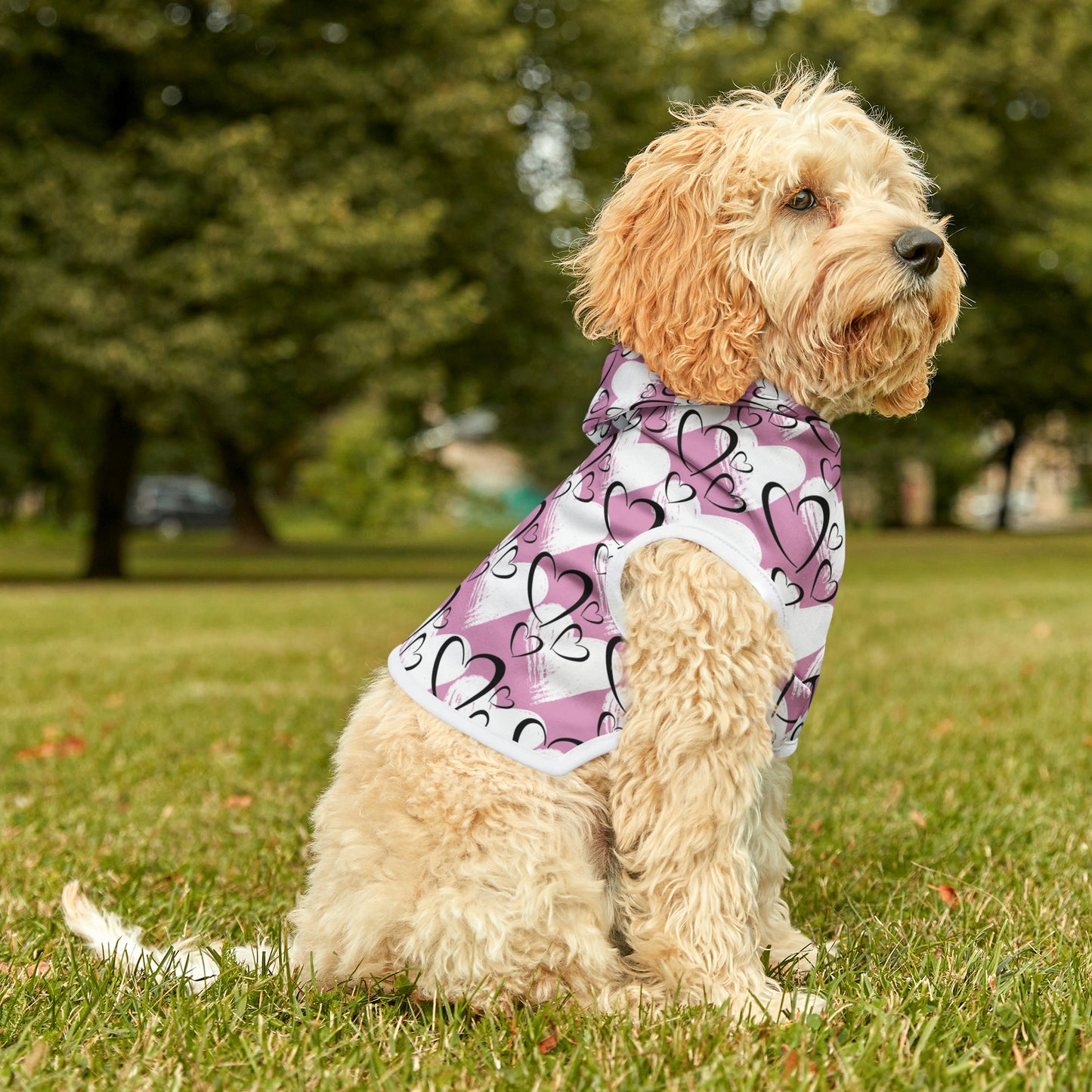 Hearts Dog Hoodie | Small Breeds