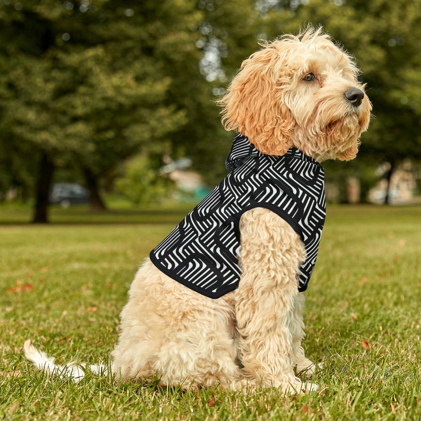 Fuse Dog Hoodie | Small Breeds