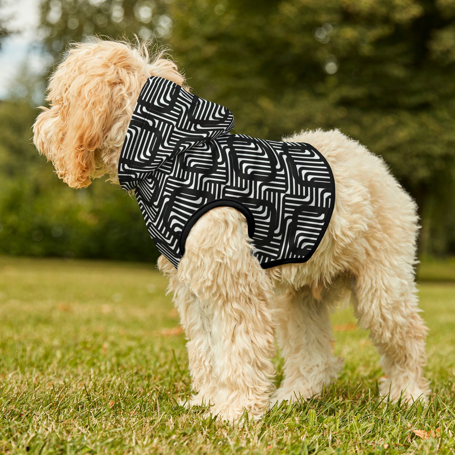 Fuse Dog Hoodie | Small Breeds