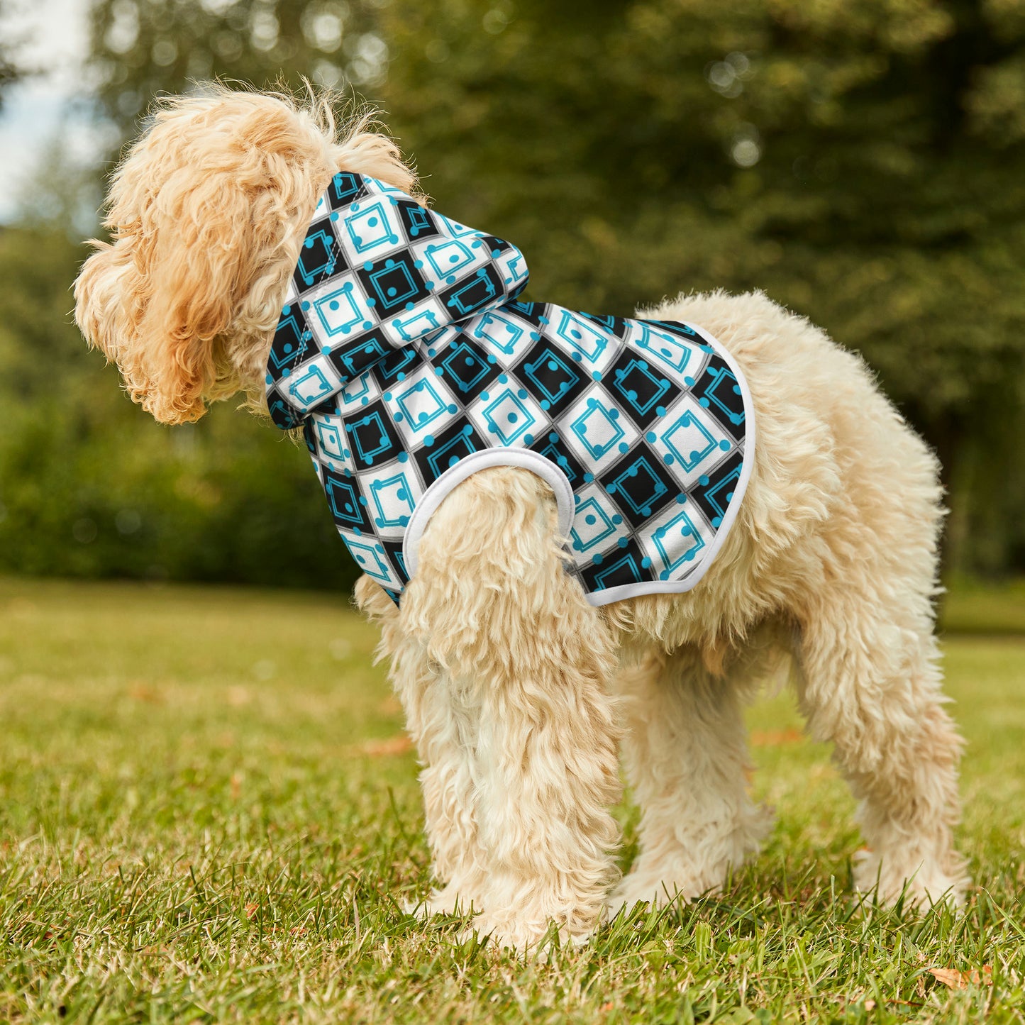 The Birthday Dog Hoodie '25 | Small Breeds