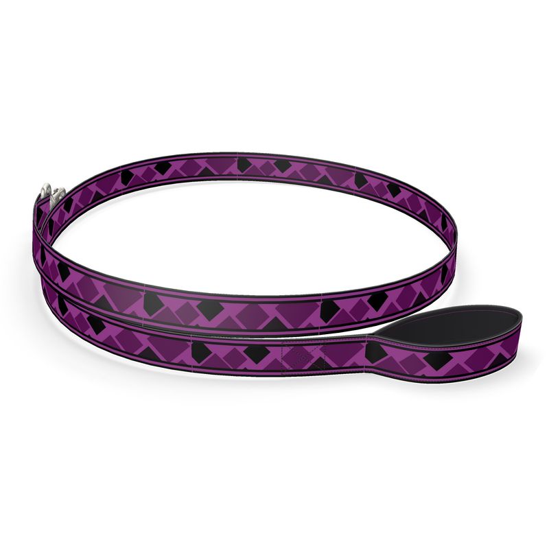 Evolve | Dog Leash