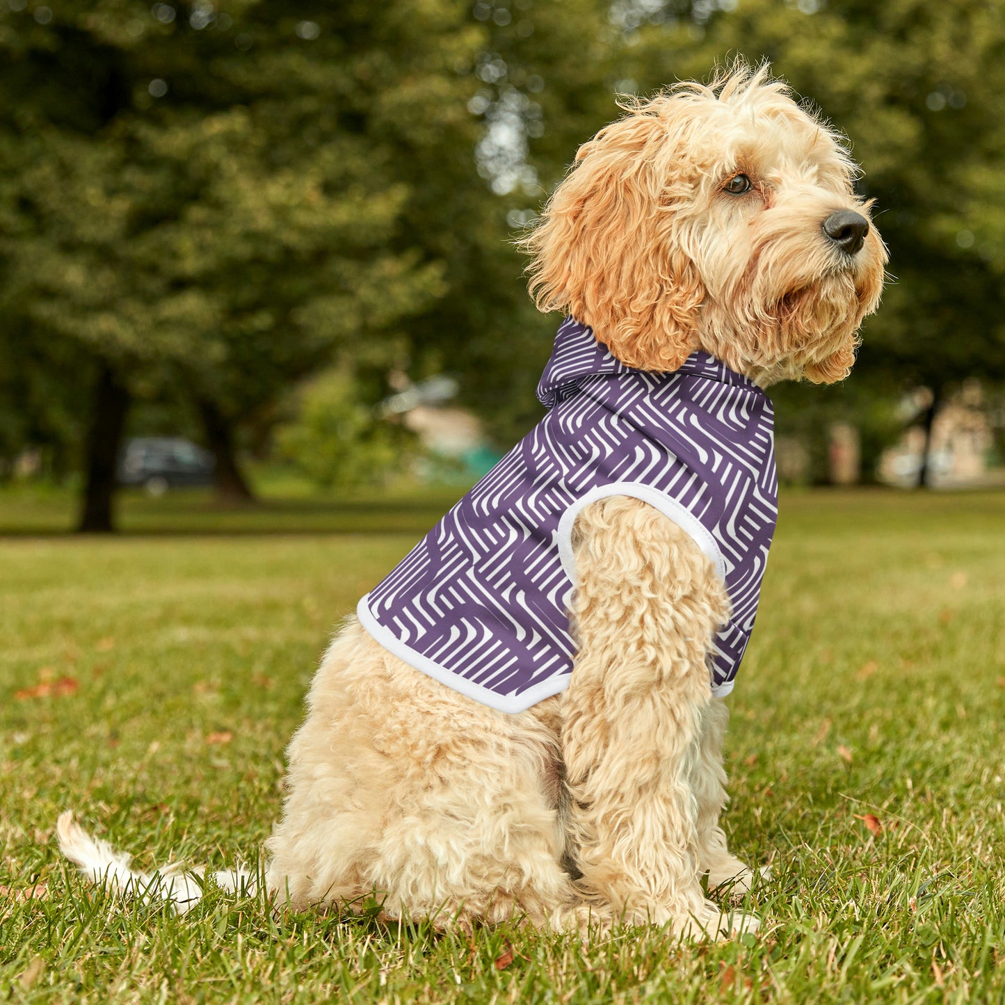 Fuse Dog Hoodie | Small Breeds